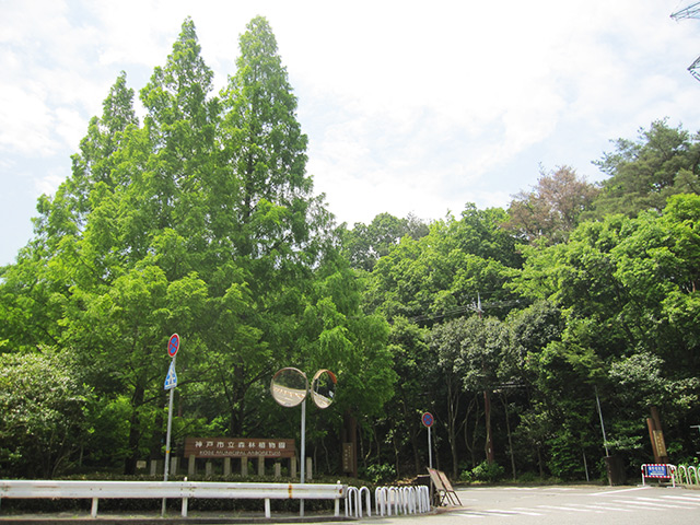 神戸市立森林植物園（正門前）